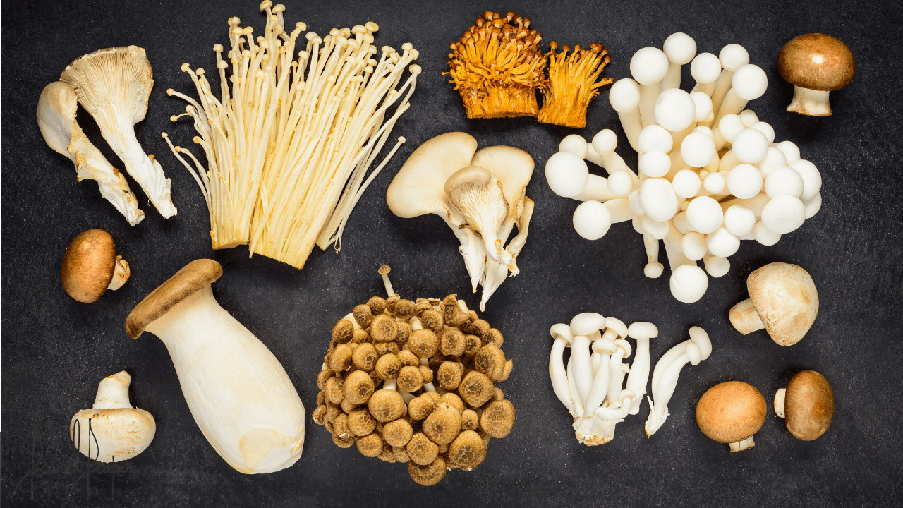 Mushroom Khurchan on Crisp Toast