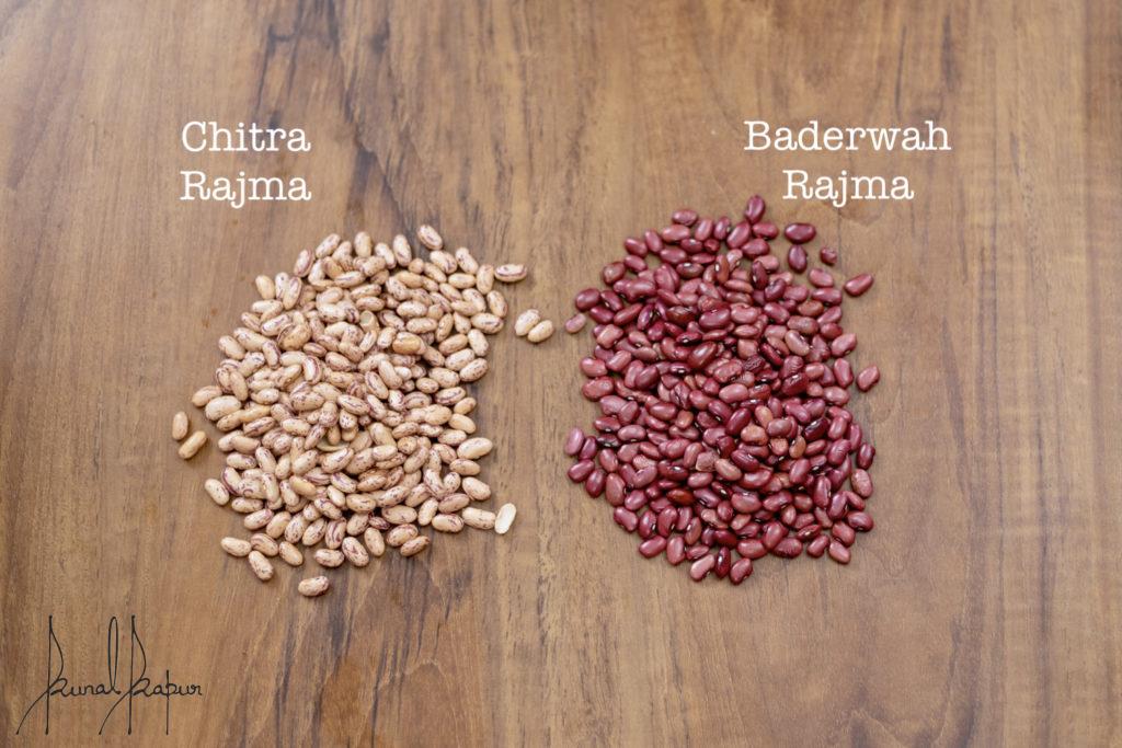 Rajma Types Baderwah & Chitra Rajma