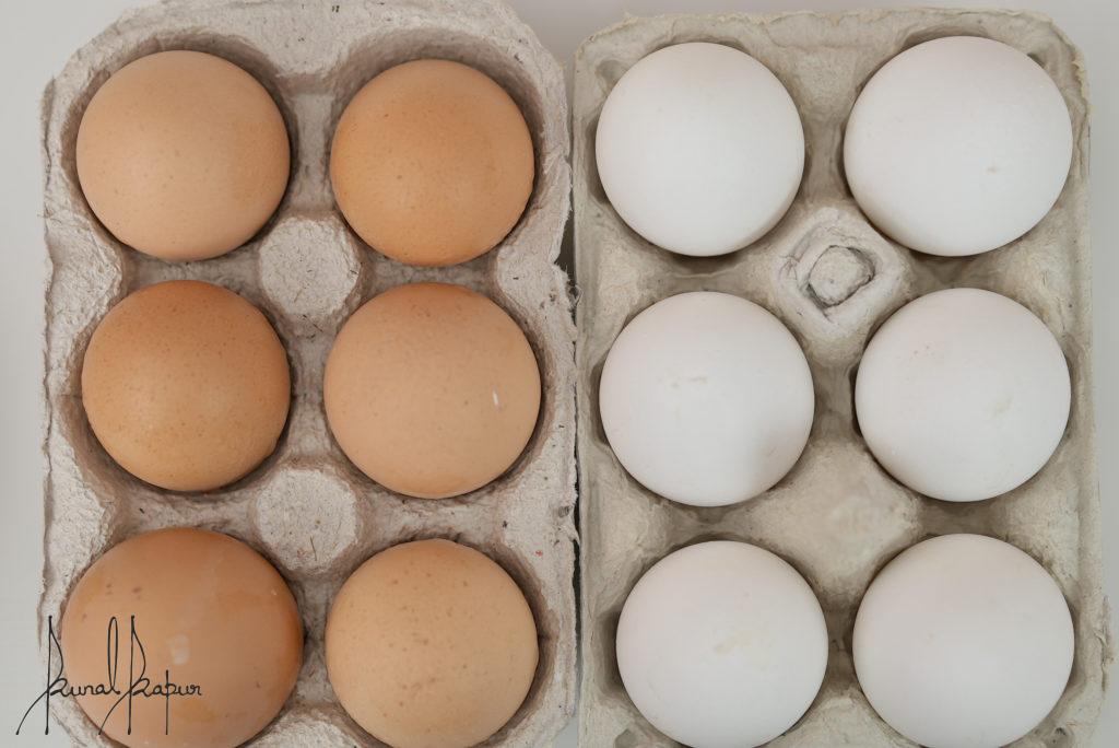 Brown Eggs & White Eggs