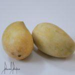 Mango Masala Shikanji